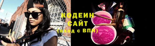 молекула духа Инсар