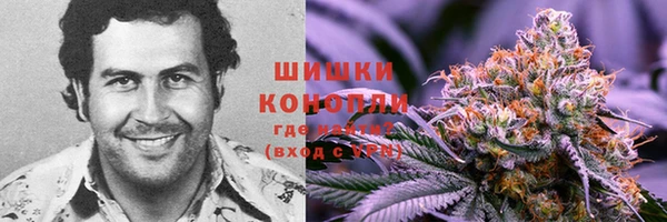 молекула духа Инсар