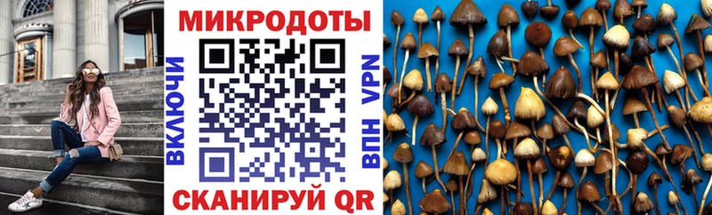 Псилоцибиновые грибы мицелий  Купить закладки  Бокситогорск 
