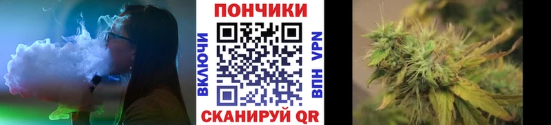 МАРИХУАНА сатива  Купить где  Бокситогорск 